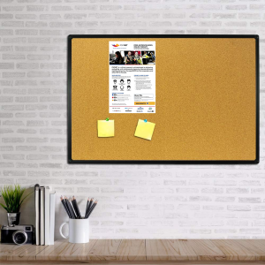 PSPNET poster (11" x 17", Bilingual)